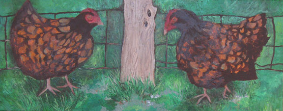 wp-hebrideanchickens